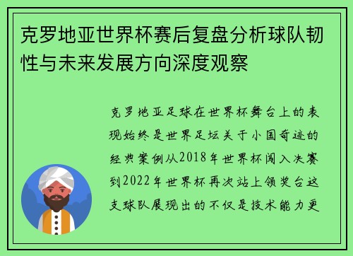 克罗地亚世界杯赛后复盘分析球队韧性与未来发展方向深度观察